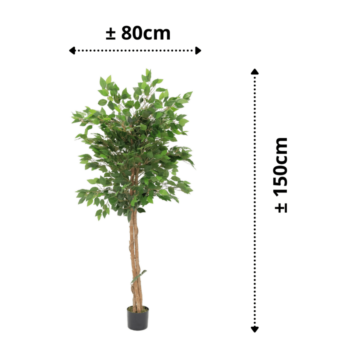 Kunst Ficus 150cm