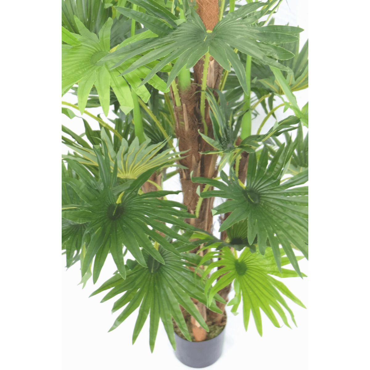 Kunst Waaierpalm 150cm