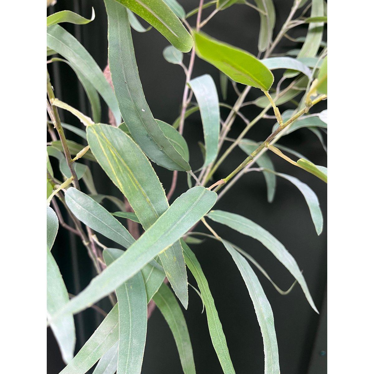 Eucalyptus Kunstplant 175cm