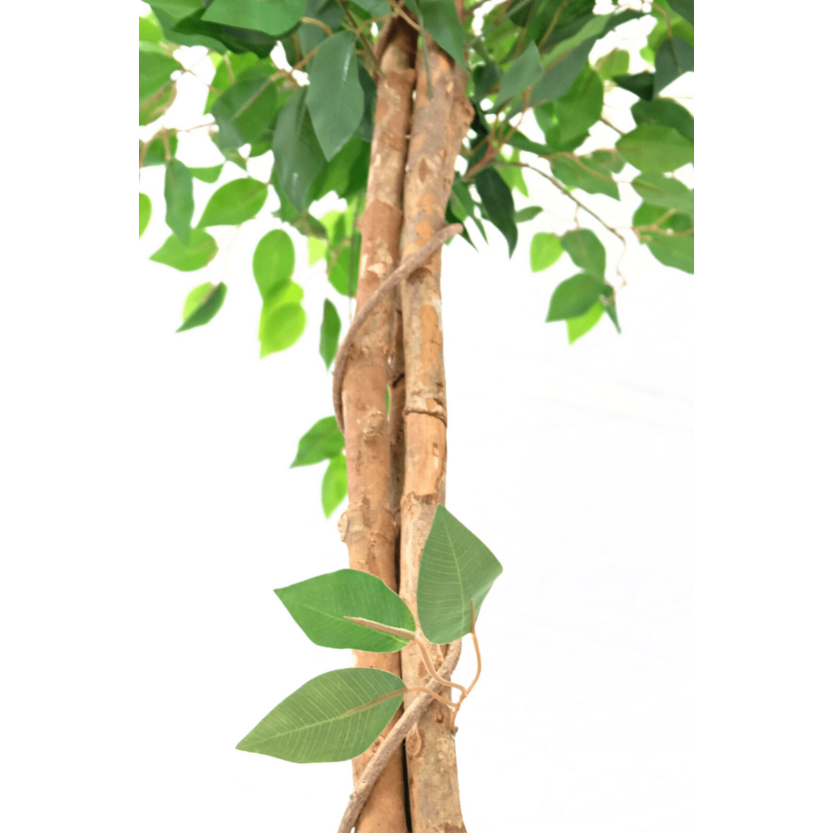 Kunst Ficus 150cm