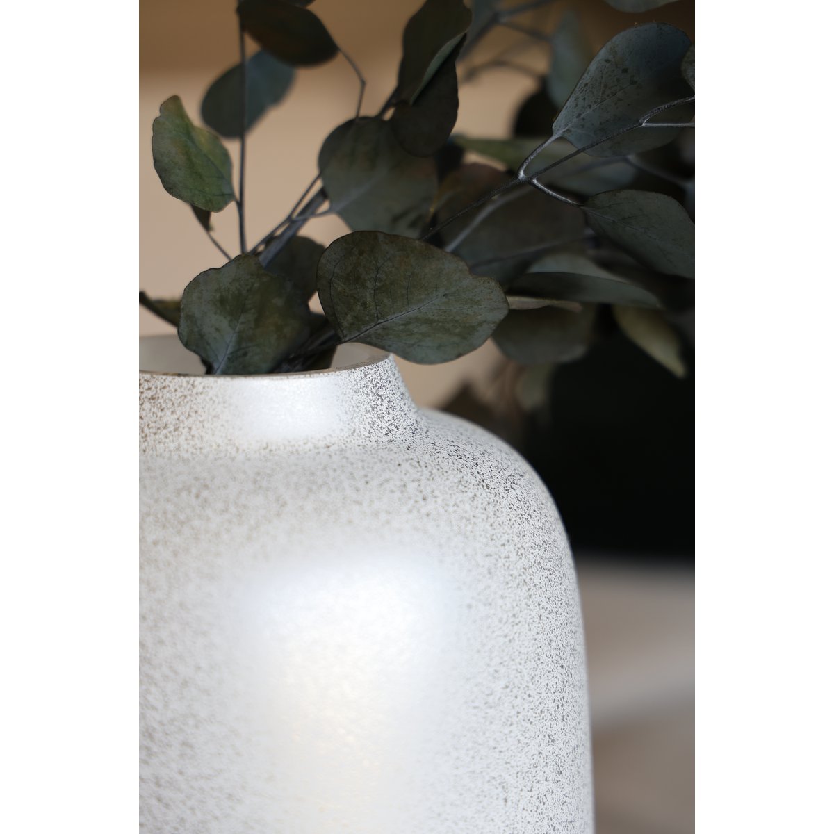 Vaas - Artic sparkle silver