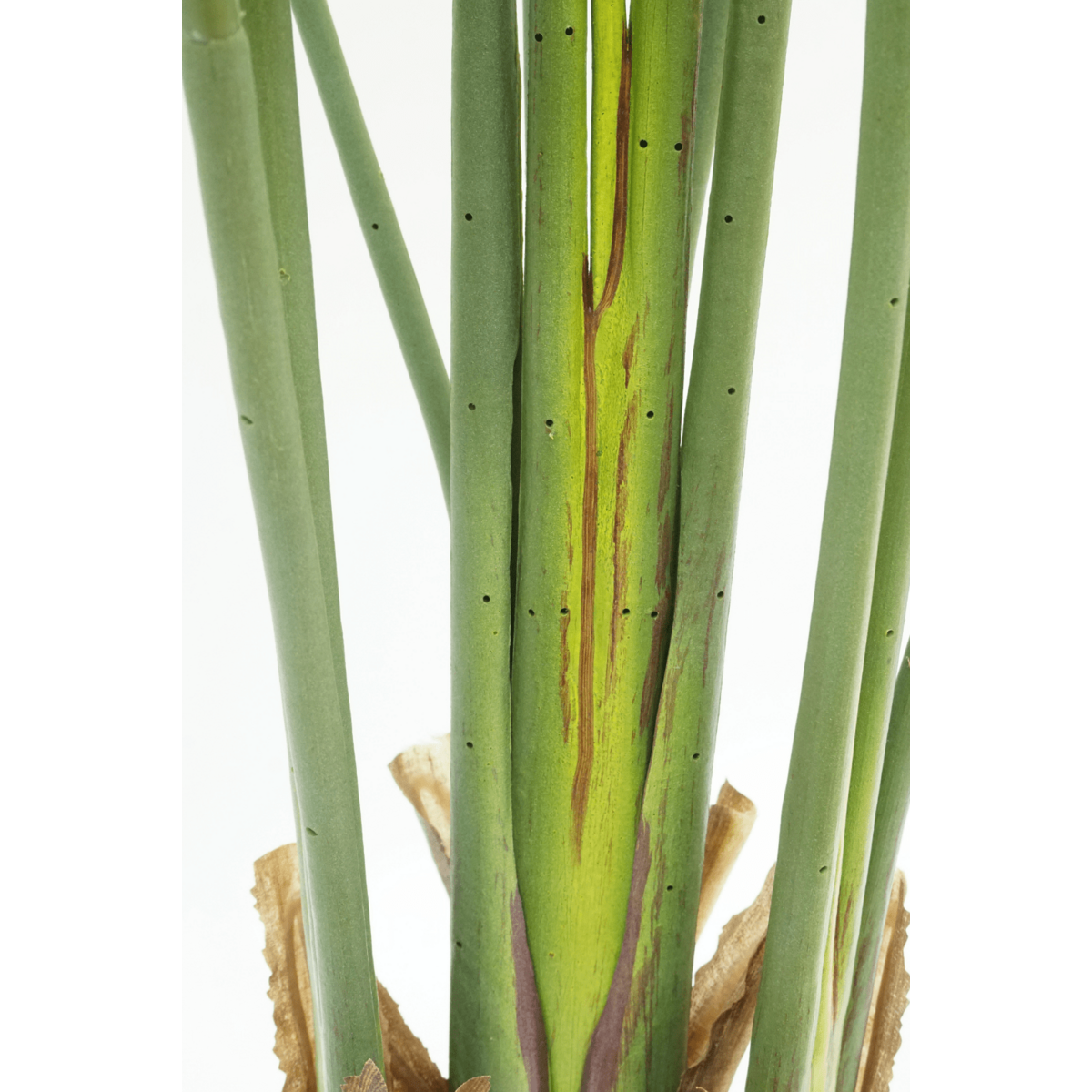 Strelitzia Kunstplant 160cm