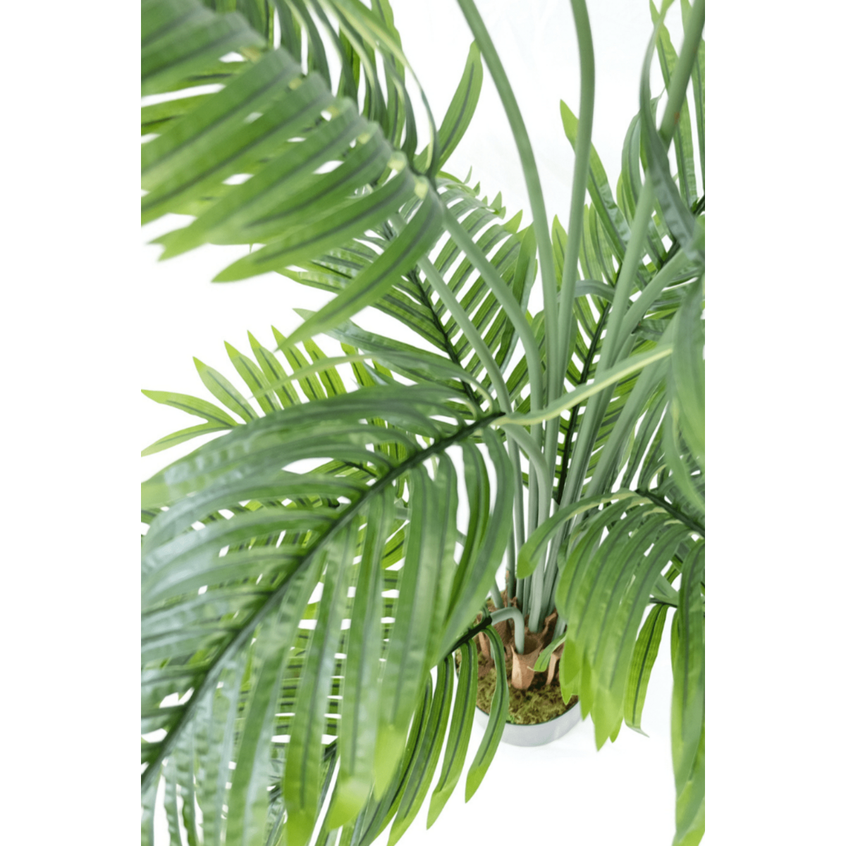 Kunstpalm 180cm