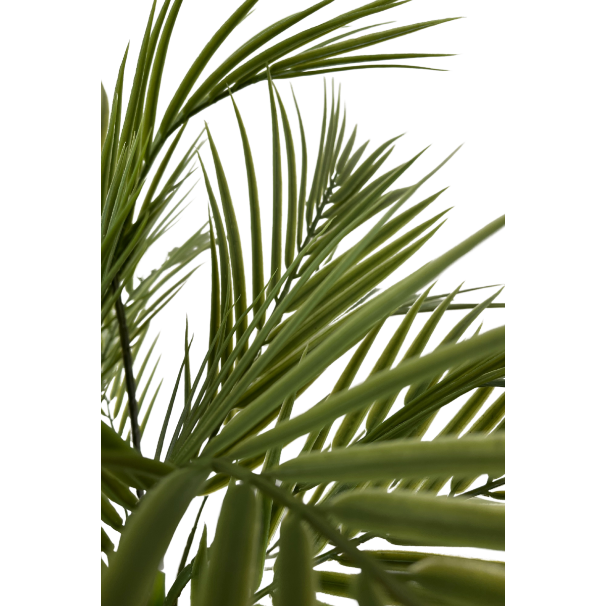 Kunstpalm 180cm