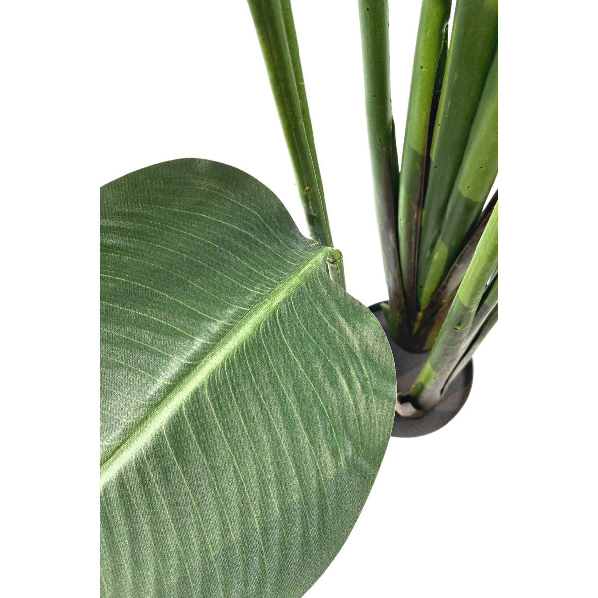 Strelitzia Kunstplant 180cm