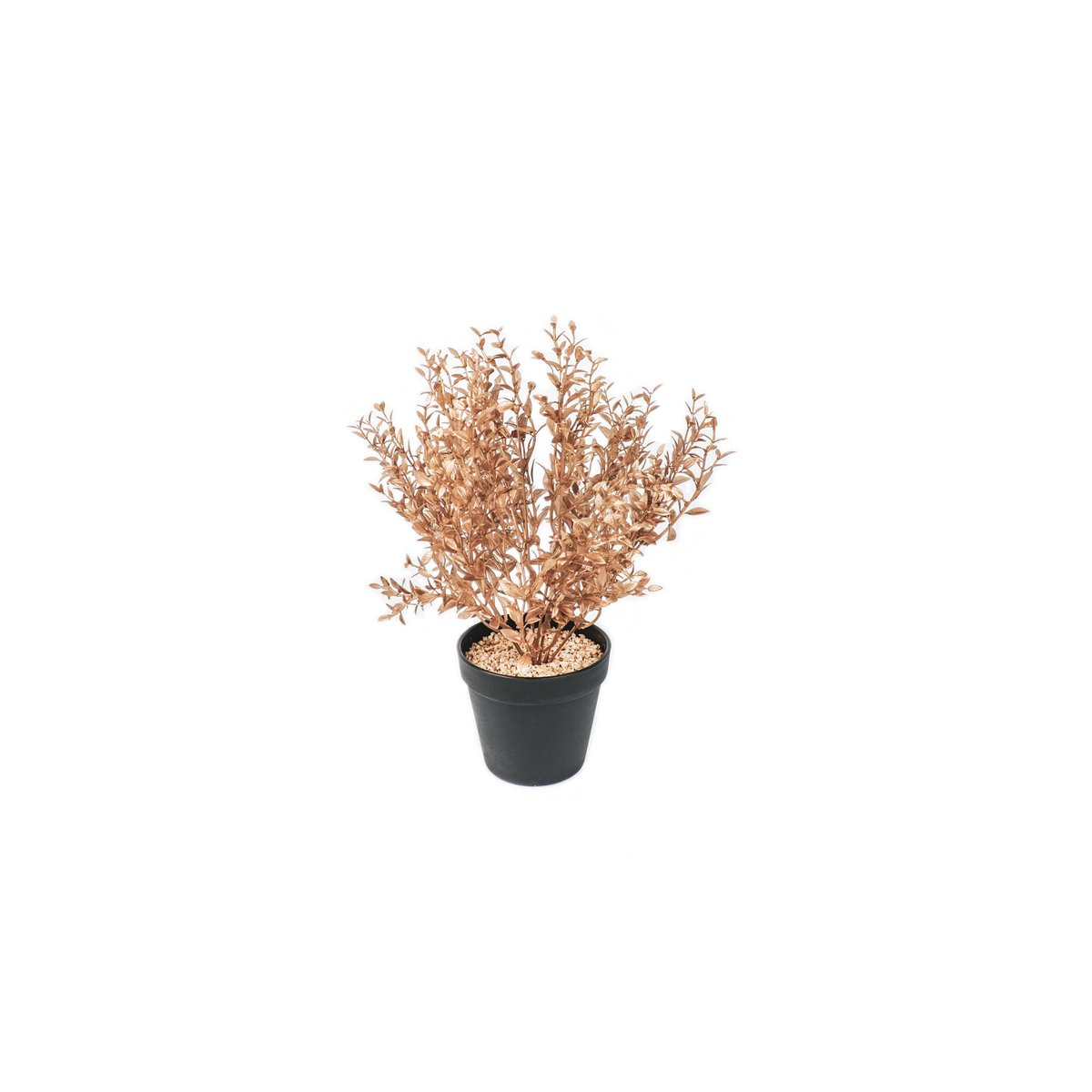 HV Gouden Plant met zwarte pot- Polystyreen
