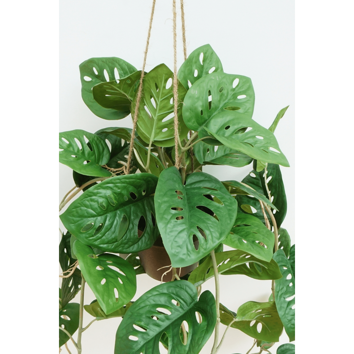 Monstera Monkey Bush Kunst Hangplant 95cm