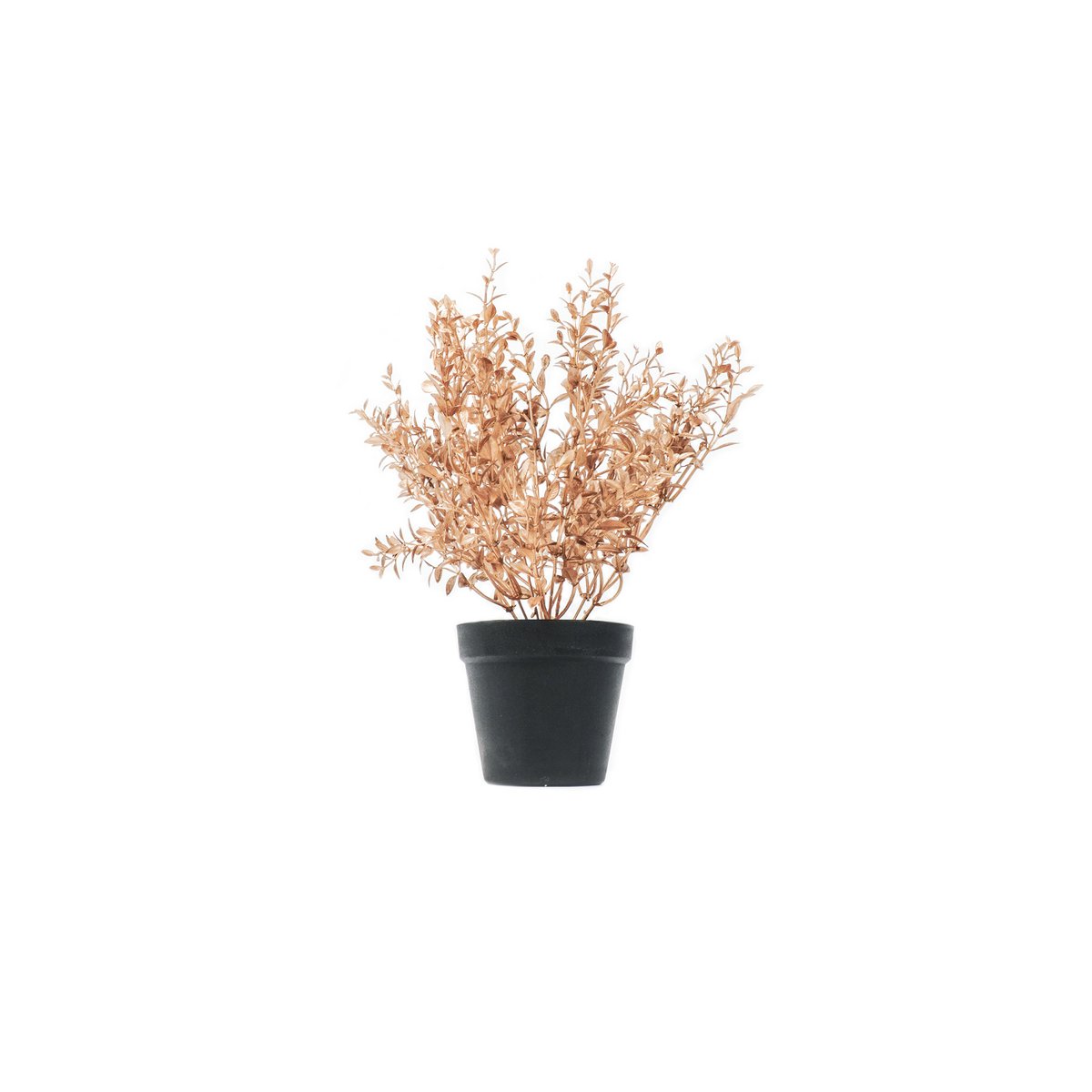 HV Gouden Plant met zwarte pot- Polystyreen