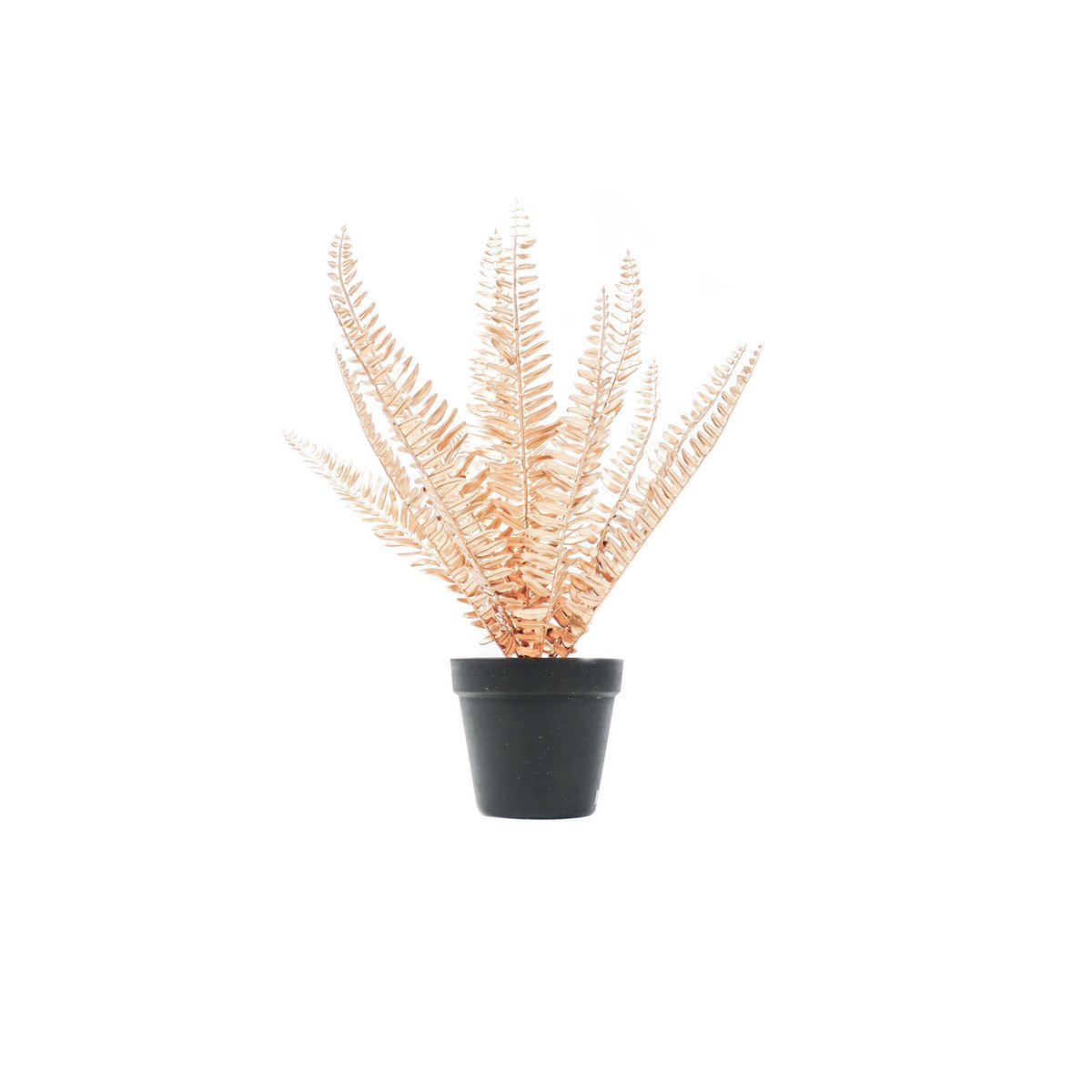 HV Varen met Pot - Goud/Zwart - 15x30x45cm