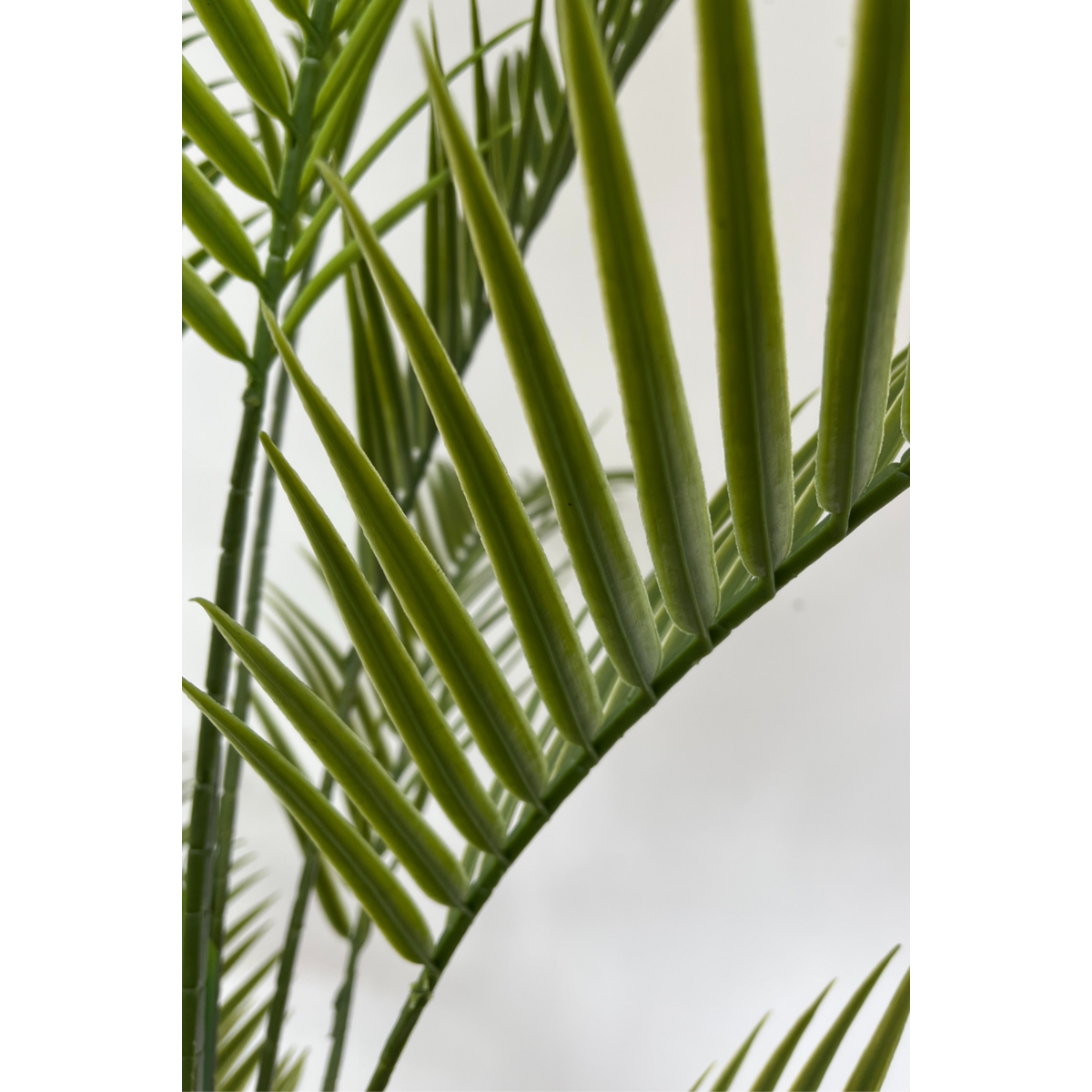 Kunstpalm 180cm
