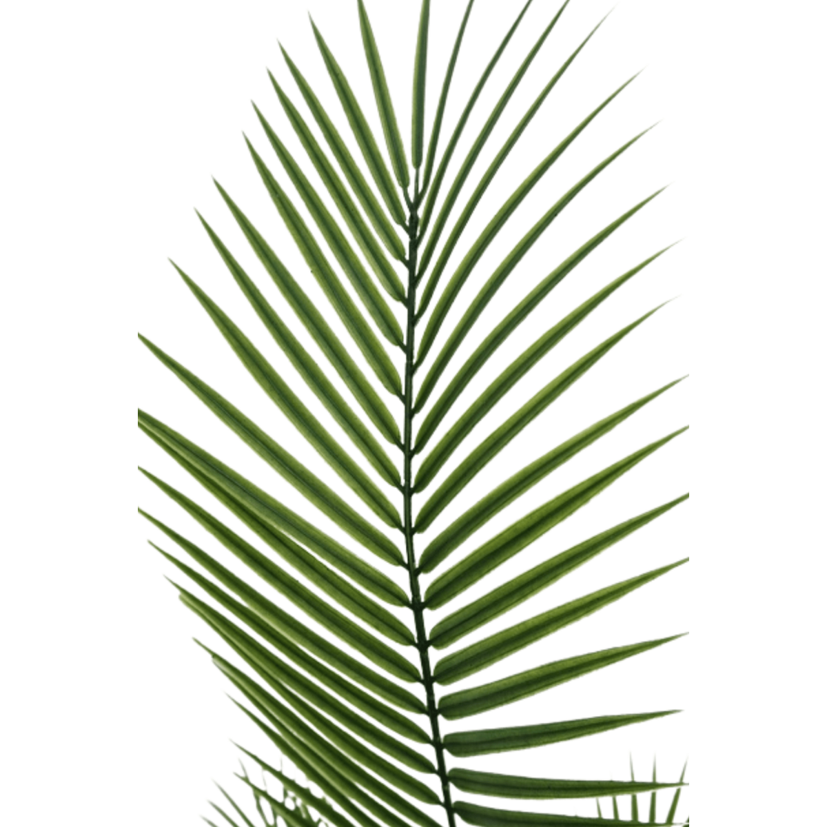 Kunstpalm 180cm