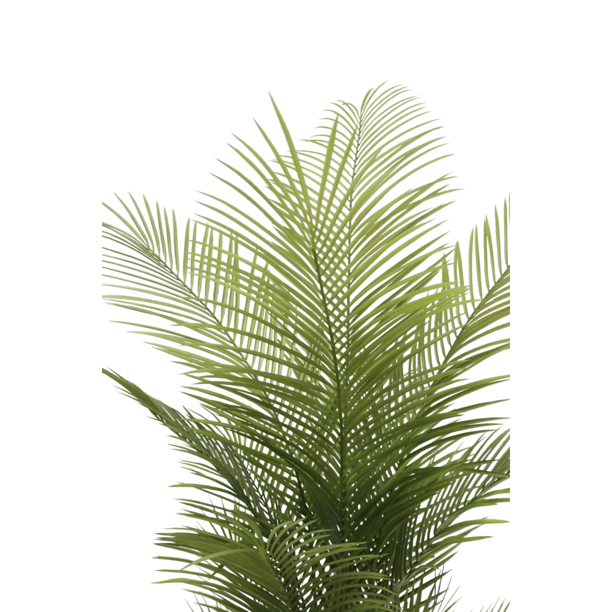 Kunstpalm 150cm