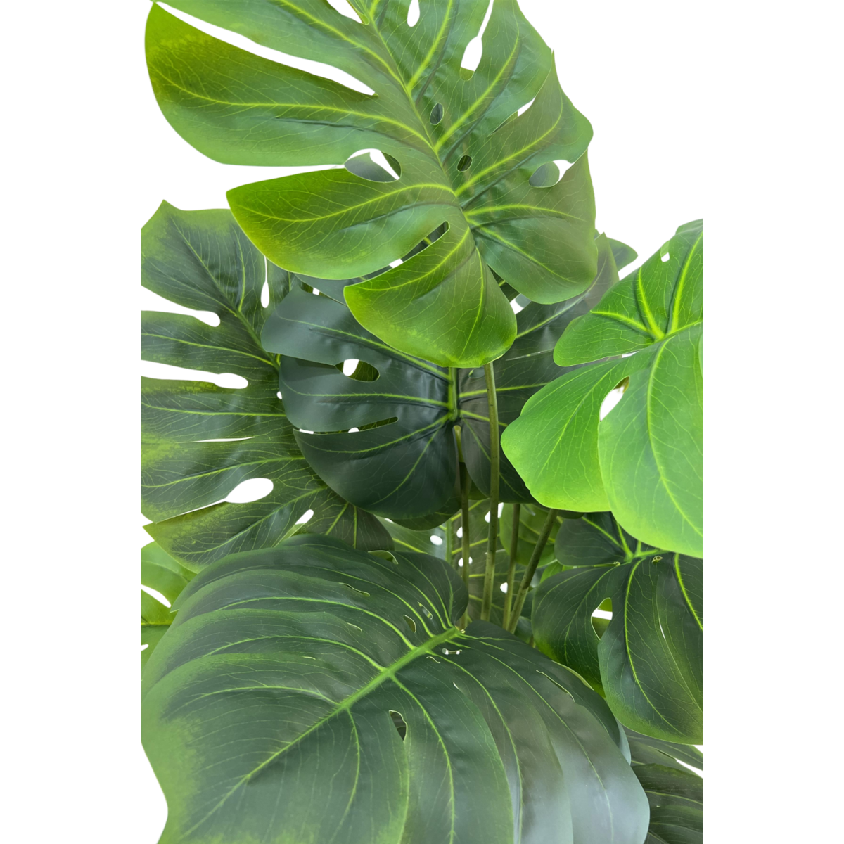 Monstera Kunstplant 145cm