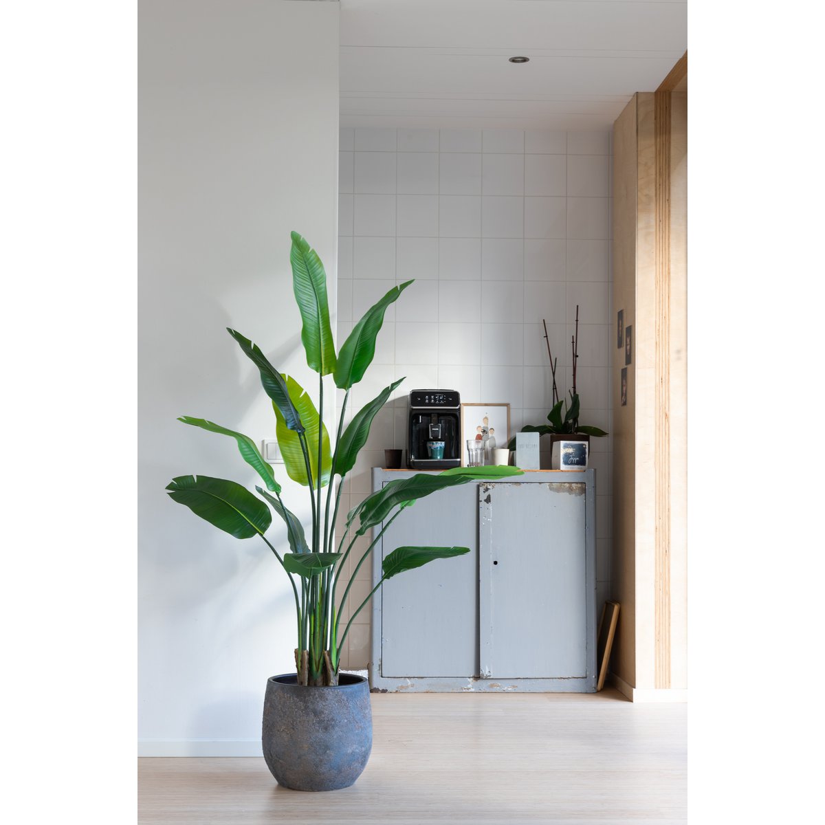 Strelitzia Kunstplant 160cm