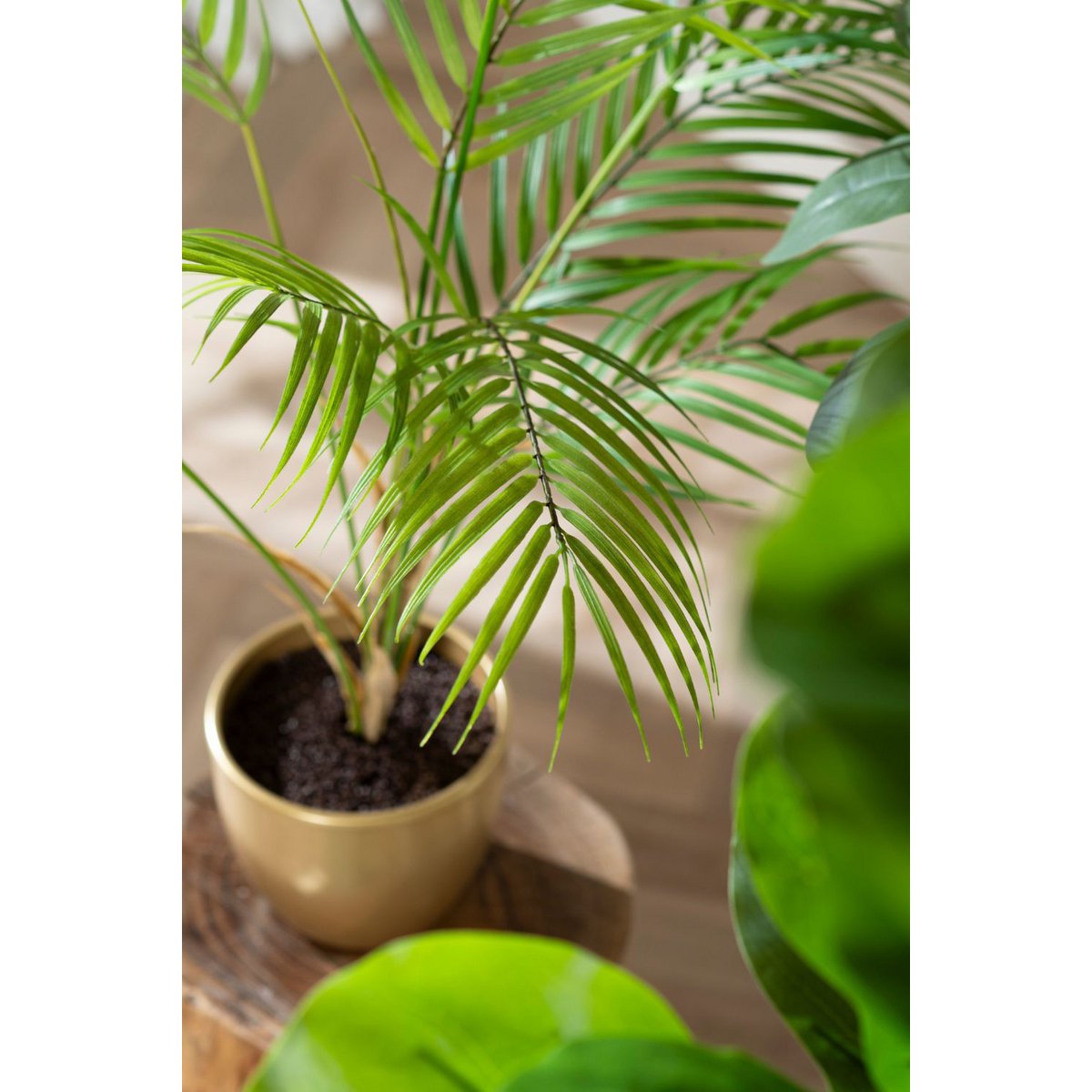 Kunstpalm Chamaedorea 85cm