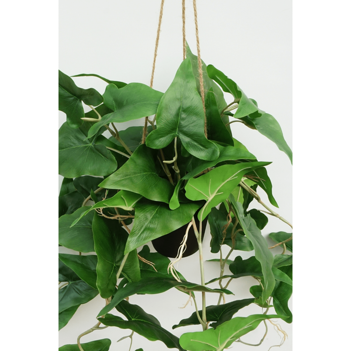 Typhonium Kunst Hangplant 95cm