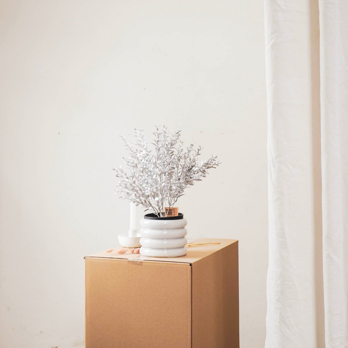 HV Zilverplant met zwarte pot - Polystyreen