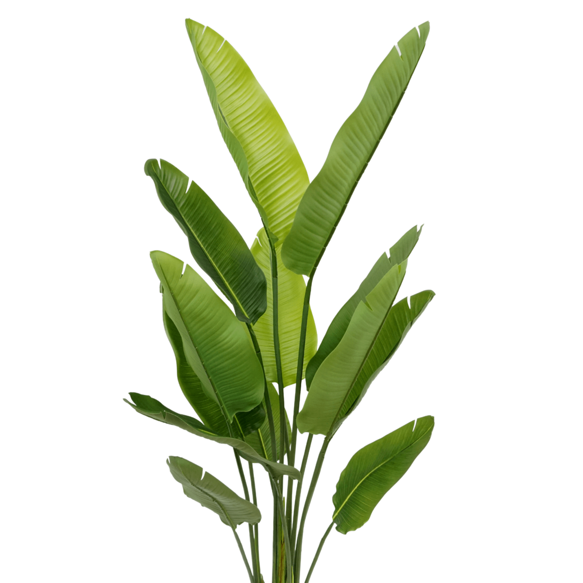 Strelitzia Kunstplant 160cm