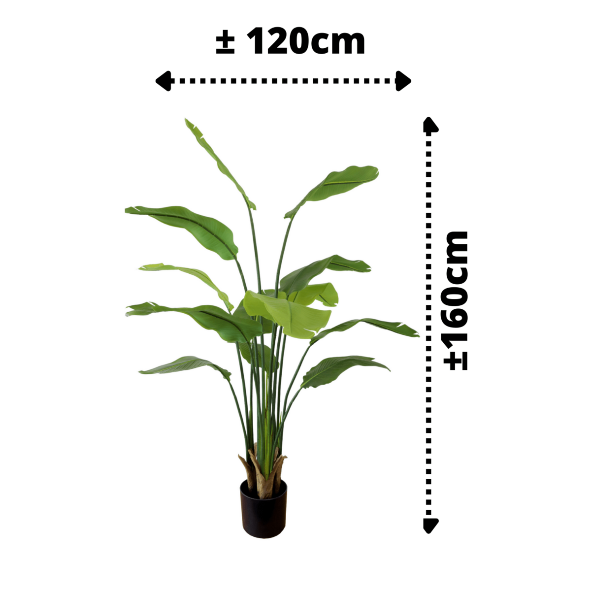 Strelitzia Kunstplant 160cm