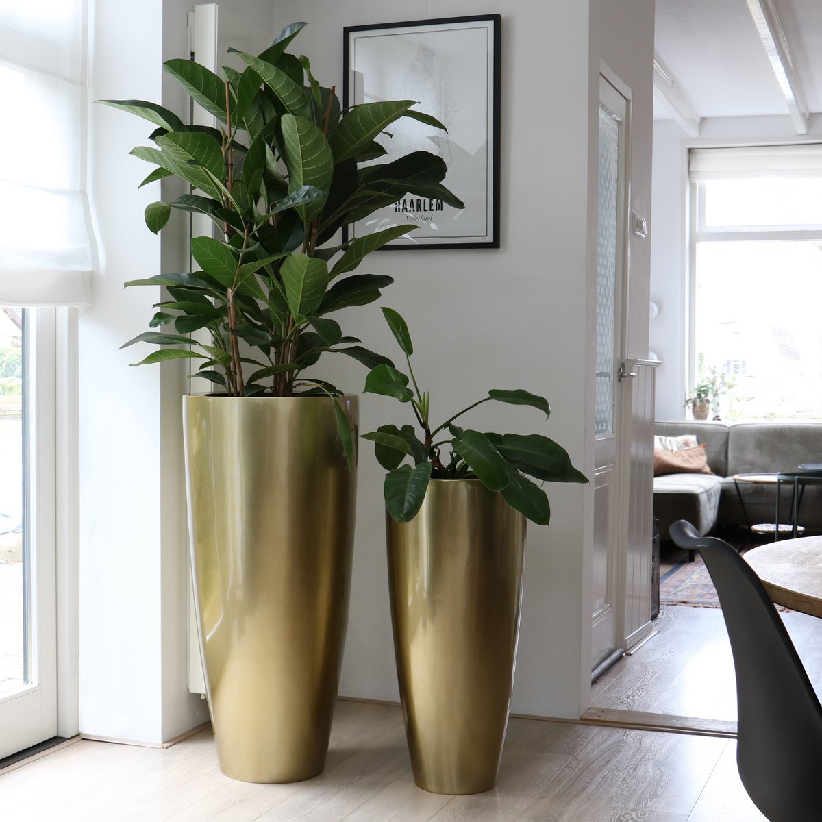 Plantenpot - Kentucky gold