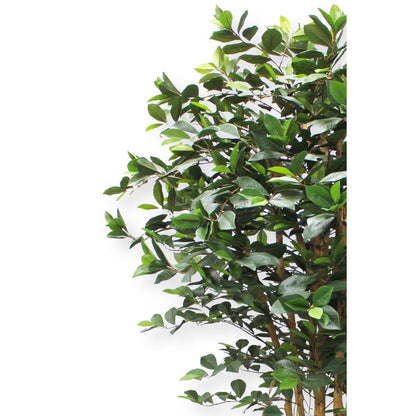 Ficus Kunstplant 180cm