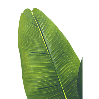 Kunst Bananenplant 120cm