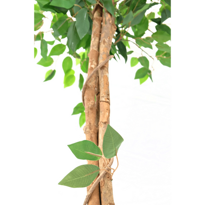 Kunst Ficus 150cm