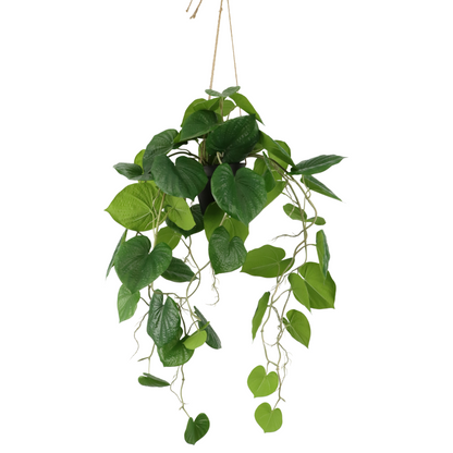 Neocheiropteres Kunst hangplant 80cm