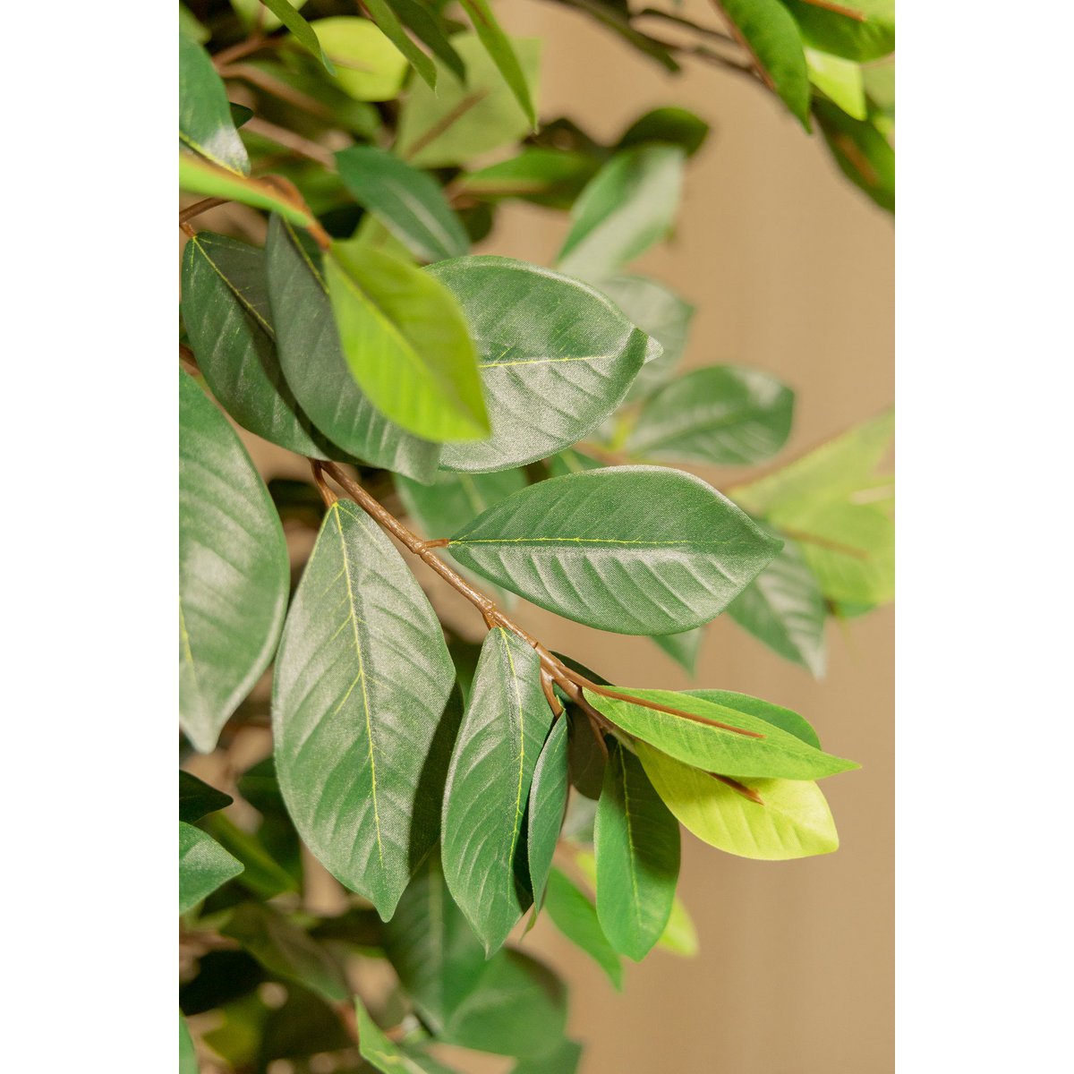 Ficus Kunstplant 180cm