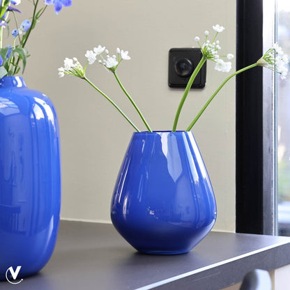 Vaas - Tasman S bright blue