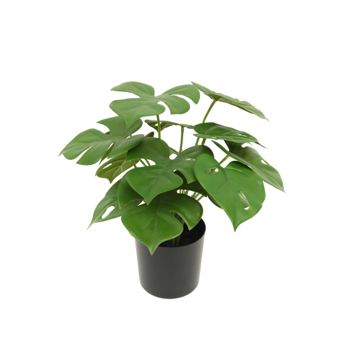 Monstera Madness - Kunstplantenpakket