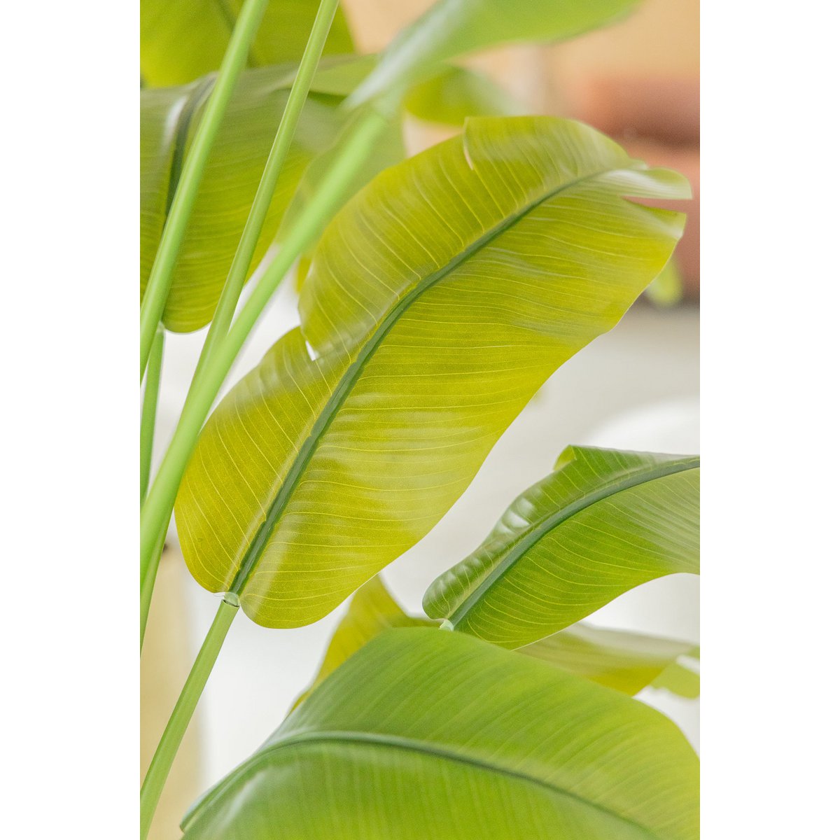 Strelitzia Kunstplant 210cm