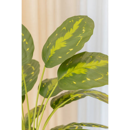 Calathea Kunstplant 70cm