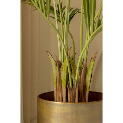 Kentia Kunstpalm 180cm