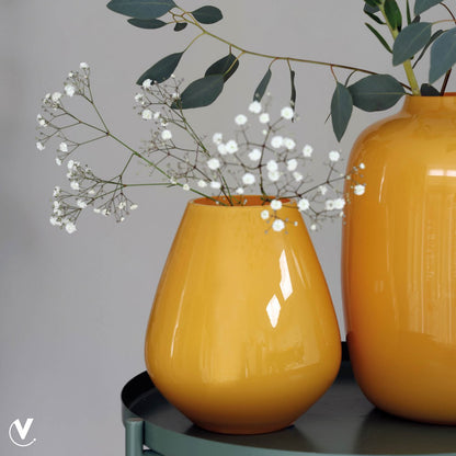 Vaas - Tasman S bright yellow