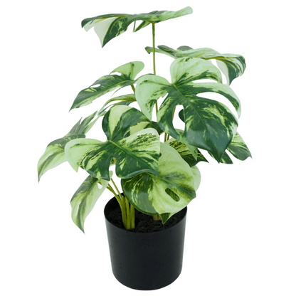 3st. Monstera Kunstplant 40cm