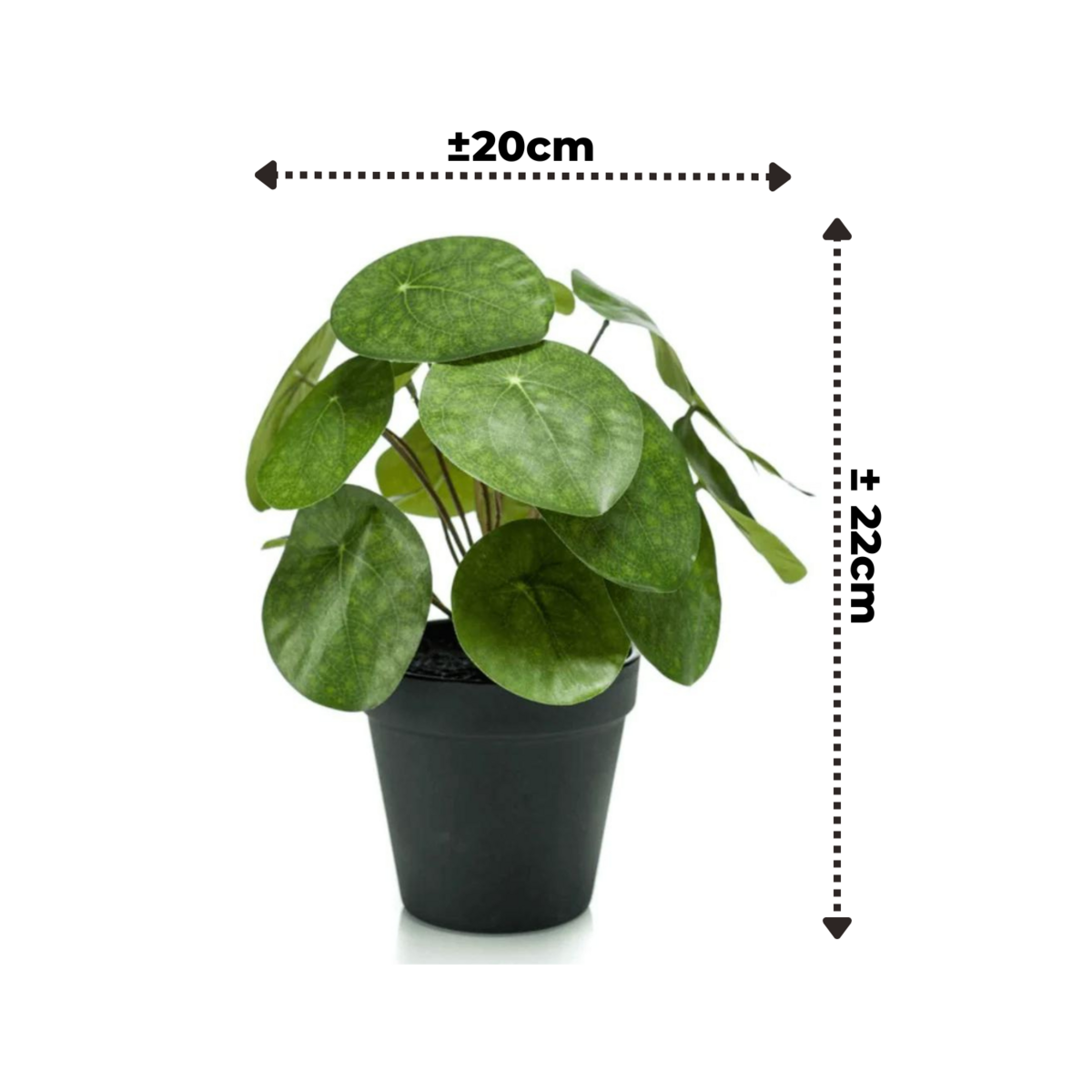 Kunst Pannekoekenplant 22cm