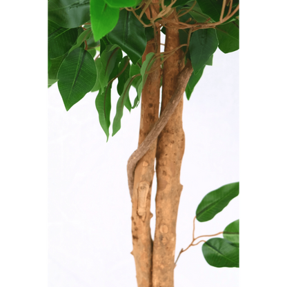 Kunst Ficus 130cm