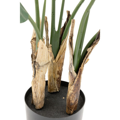 Strelitzia Kunstplant 120cm