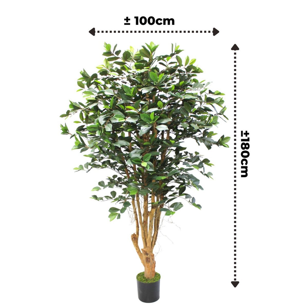 Ficus Kunstplant 180cm