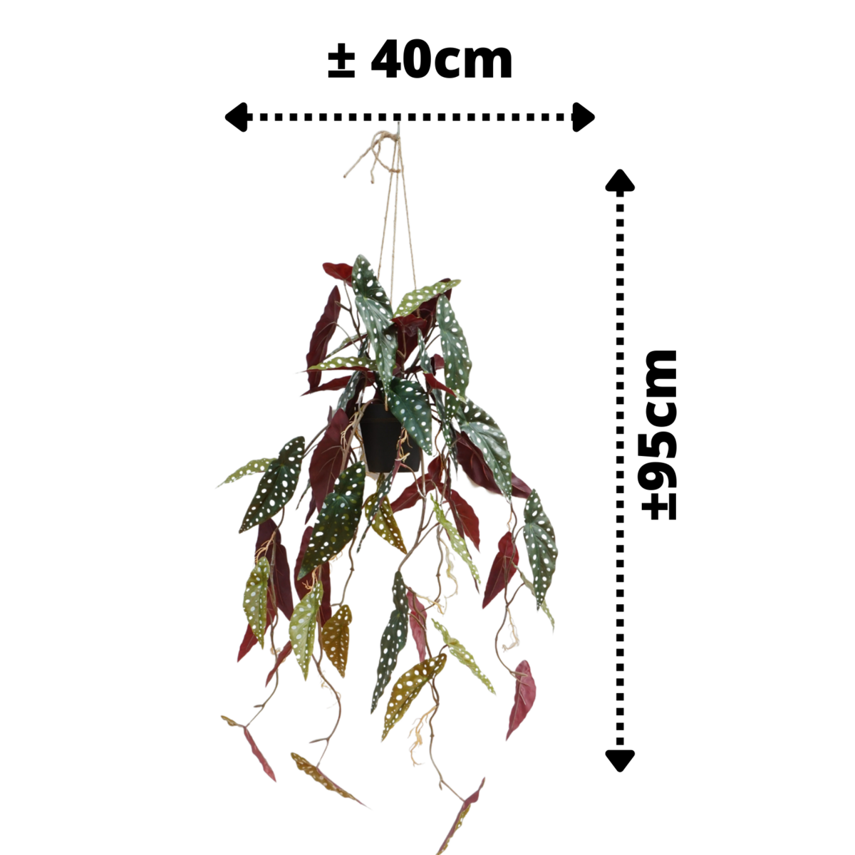Begonia Maculata Kunst Hangplant 95cm