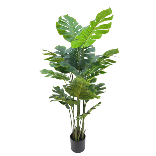 Monstera Kunstplant 145cm