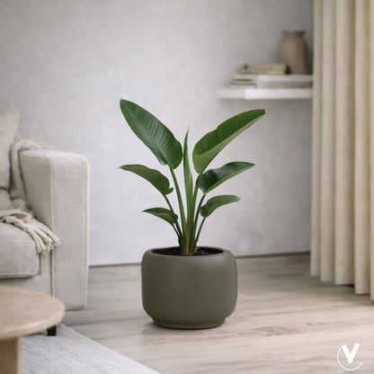 Plantenpot - Phuket taupe