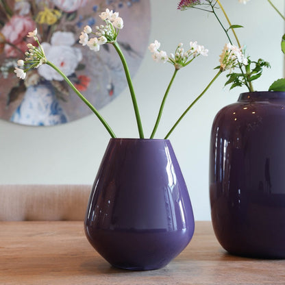 Vaas - Tasman S purple