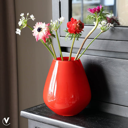 Vaas - Tasman S bright red