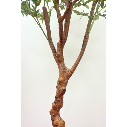 Kunst Olijfboom 150cm (lichte stam)