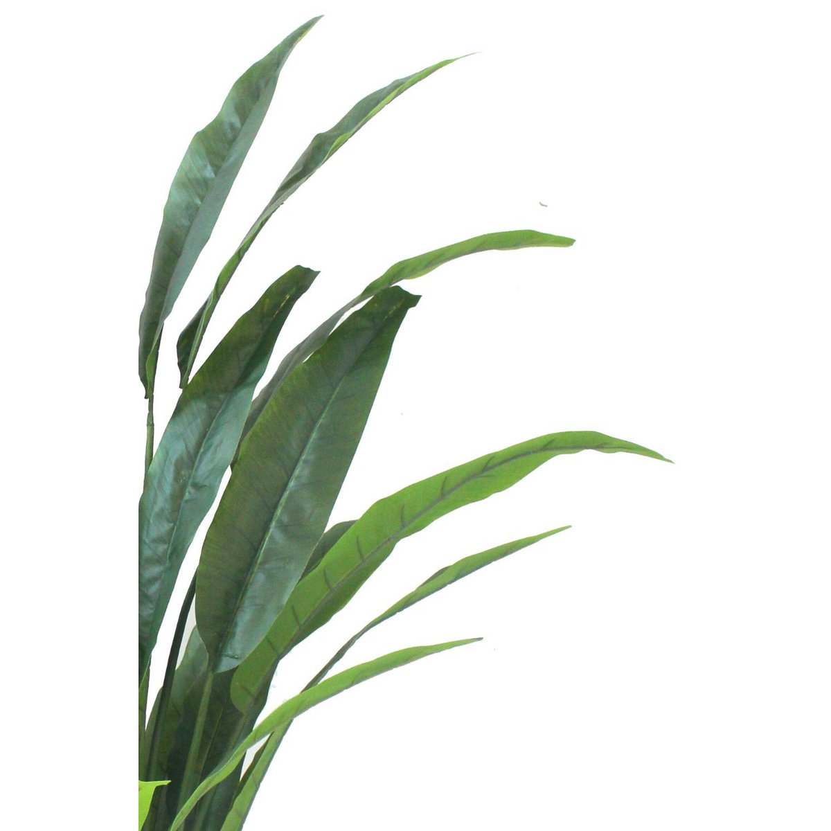 Strelitzia Kunstplant 160cm