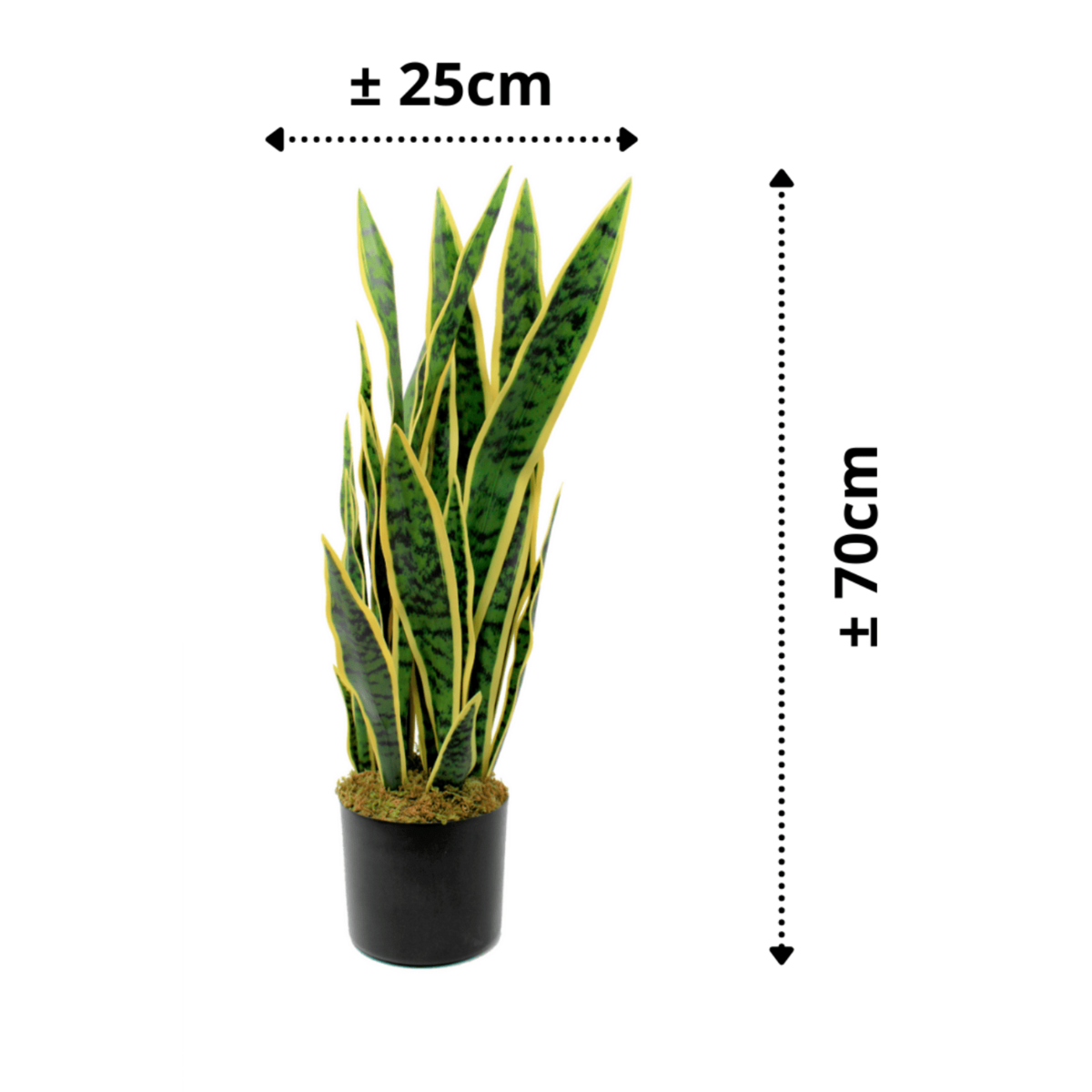 Sansevieria Kunstplant 70cm
