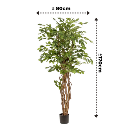 Ficus Liana Kunstboom 170cm