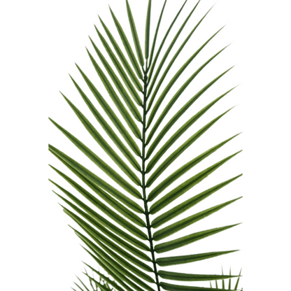 Kunstpalm 180cm